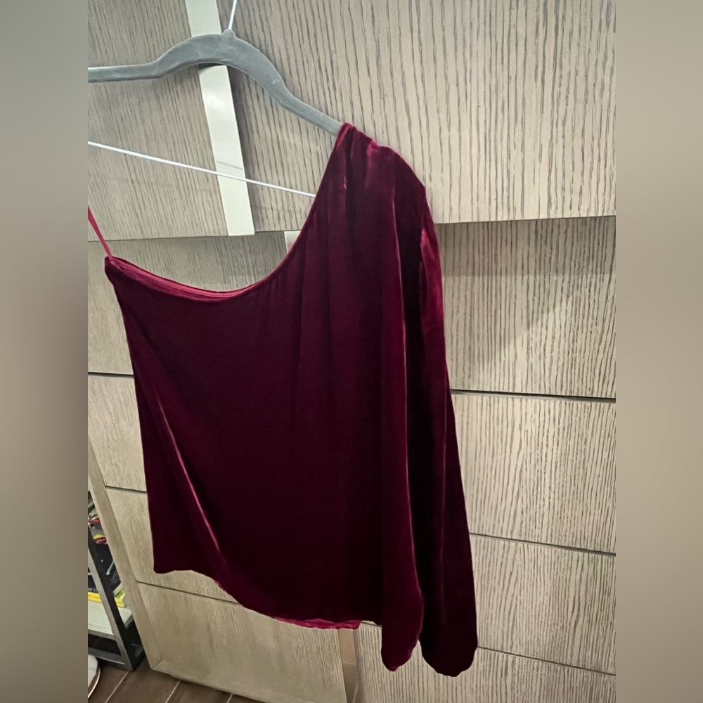 Ramy Brook Velvet Burgundy - S